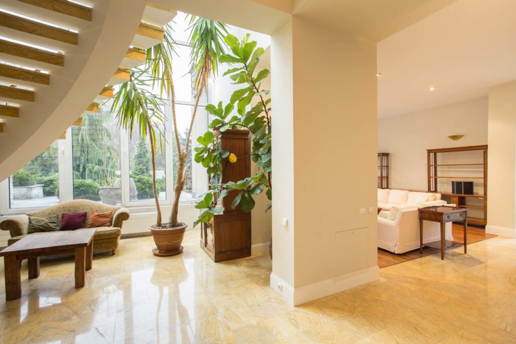 Modern house open floor concept with tall plants